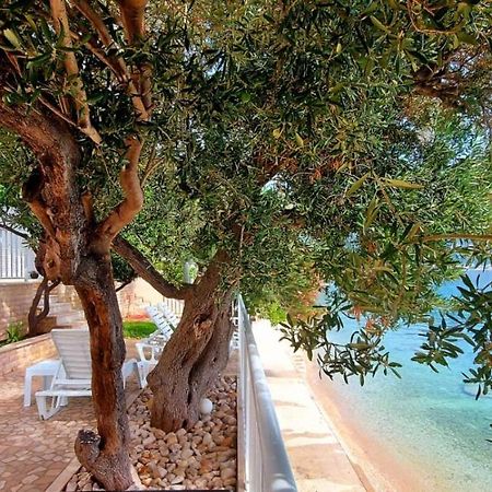 Apartments Santic Podaca Dış mekan fotoğraf